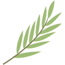 leaf