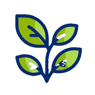 Cannabis Leaf